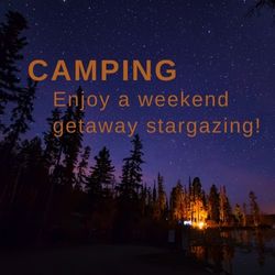 star sky in the forest at night