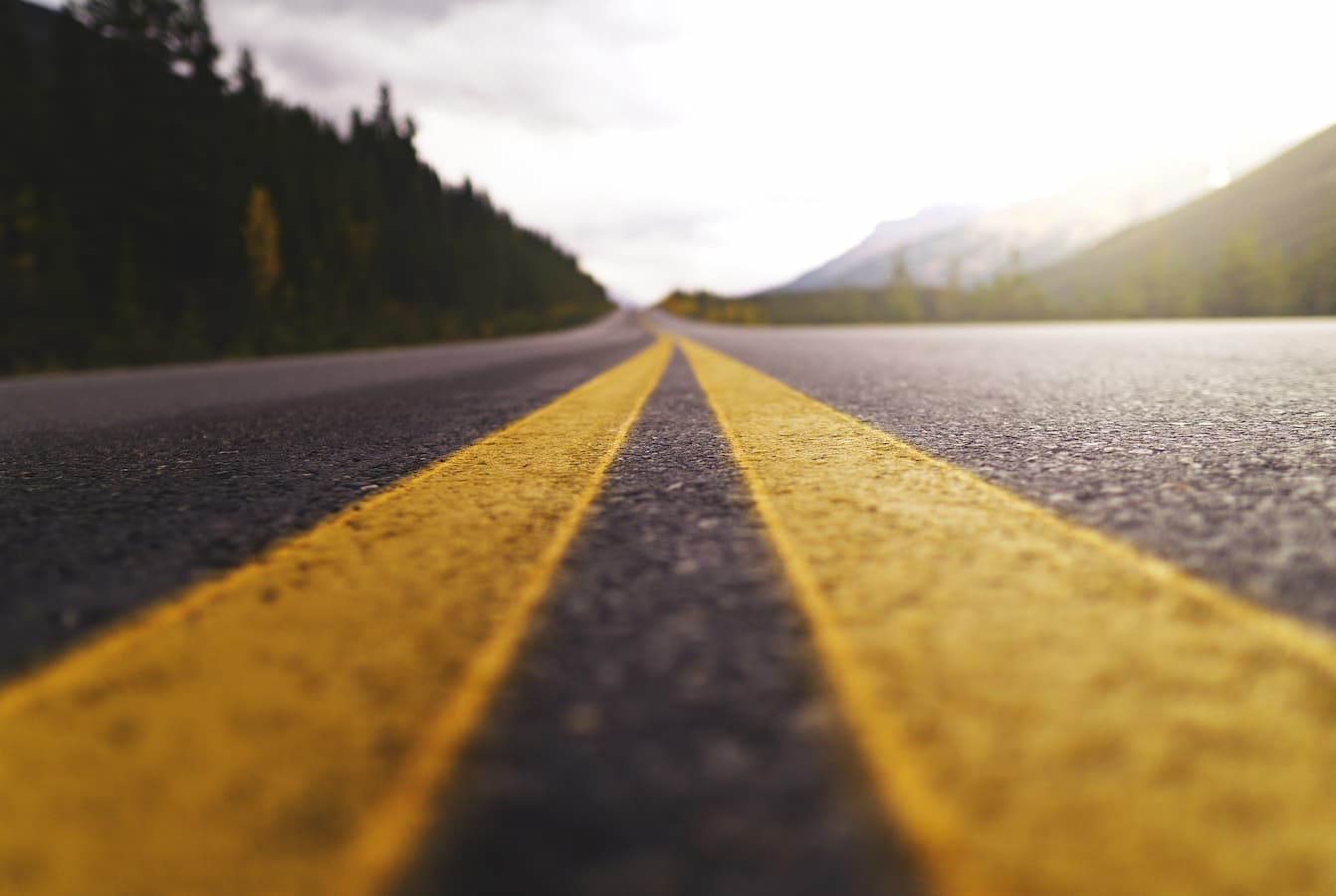 road with trees